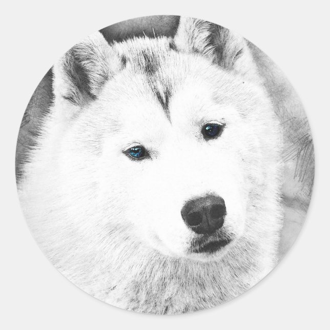 Adesivo Redondo Husky Siberiano Branco com Olhos Azuis - Desenho d (Frente)