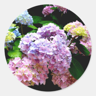 Adesivo Redondo Hydrangea Garden