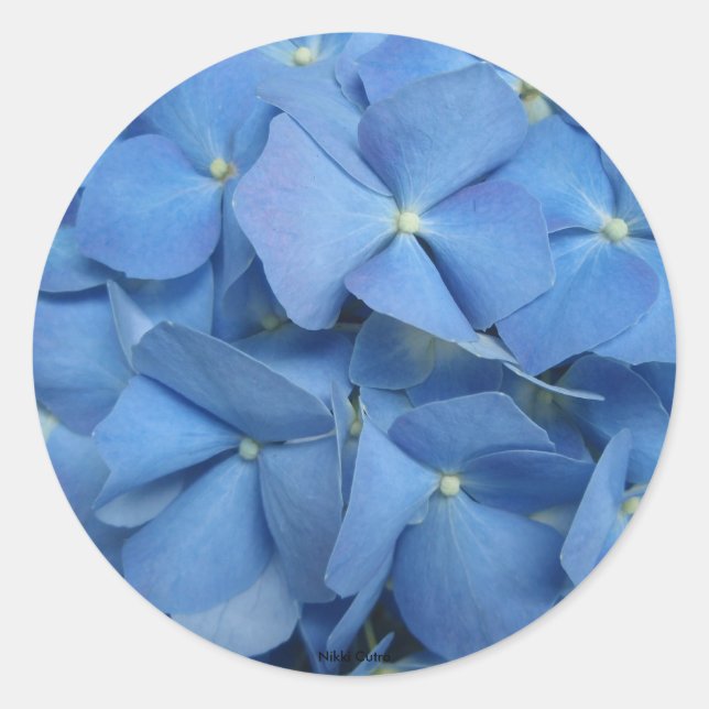 Adesivo Redondo Hydrangea Sticker (Frente)