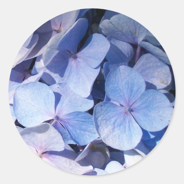 Adesivo Redondo Hydrangea Sticker (Frente)
