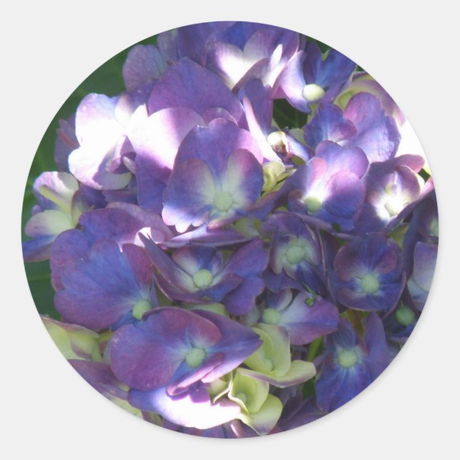 Adesivo Redondo Hydrangea Stickers (Frente)