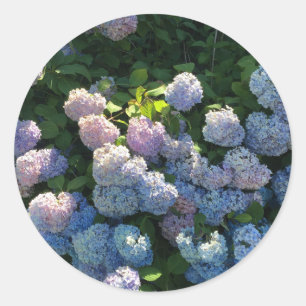 Adesivo Redondo Hydrangea Stickers Envelope Selos com Flores