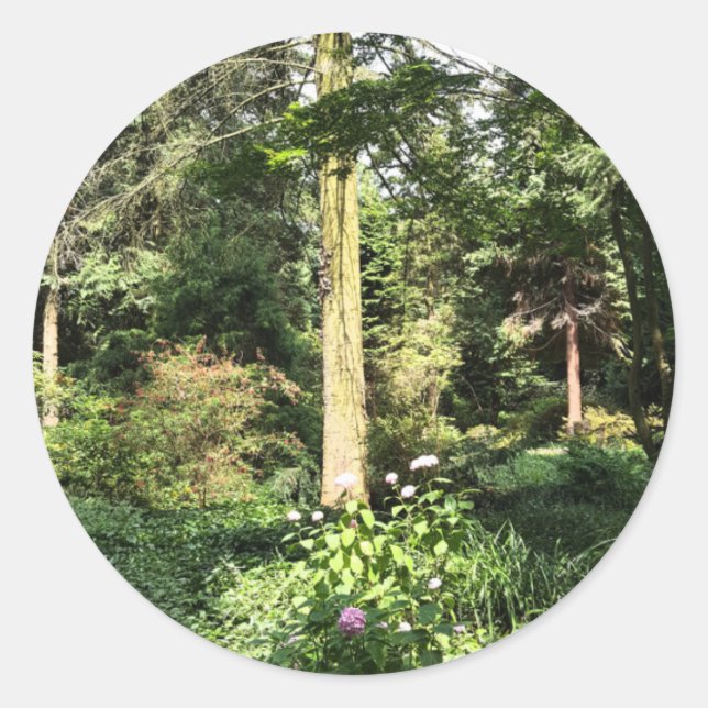 Adesivo Redondo Hydrangea Wood Tres Nature Fotografia (Frente)