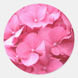 Adesivo Redondo Hydrangeas cor-de-rosa