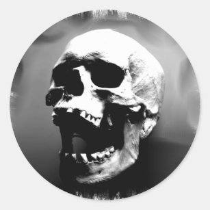 Seijuro Tensei Adesivo_redondo_hysteriskull_que_ri_o_cranio_humano-r2d9769c3d0284135addc05161a755c23_0ugmp_8byvr_307
