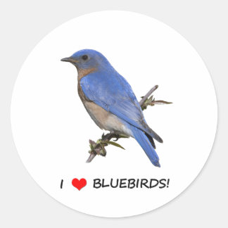 Adesivo Redondo I Love (coração) Bluebird