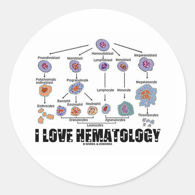 Adesivo Redondo I Love Hematology (Linhagem De Células Sanguíneas) (Frente)