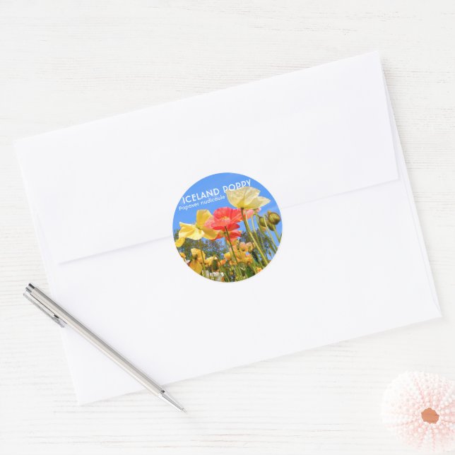 Adesivo Redondo Iceland Poppy (Envelope)