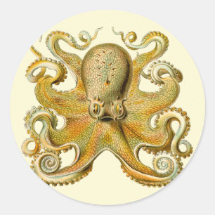 Adesivo Redondo Ilustração antiga de polvo monstro marinho
