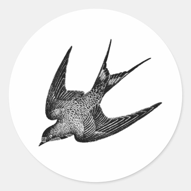 Adesivo Redondo Ilustração da andorinha - Pássaro antigo de 1800 (Frente)