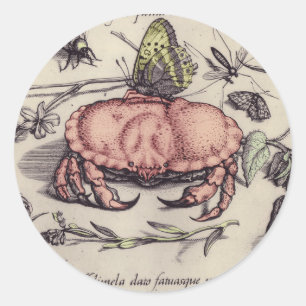 Adesivo Redondo Ilustração da Flor Botânica do Caranguejo
