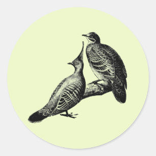 Adesivo Redondo ilustração da natureza das aves pombas animais s