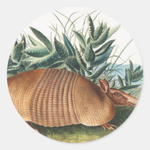 Adesivo Redondo Ilustração de Armadillo (Dasypus Peba) com nove