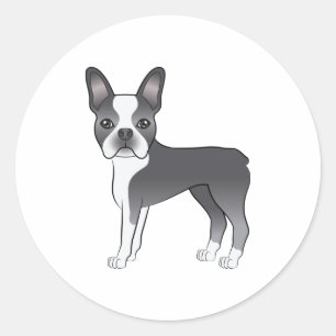 Adesivo Redondo Ilustração De Cachorro Azul E Branco De Boston Ter