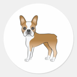 Adesivo Redondo Ilustração de Cachorro De Boston E White