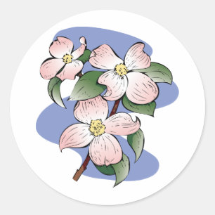 Adesivo Redondo Ilustração de florescência vermelha do Dogwood