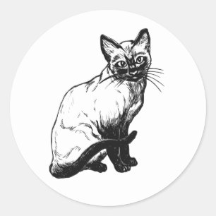 Adesivo Redondo Ilustração de gatinho fofo gato preto e branco