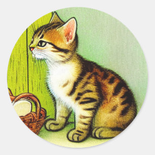 Adesivo Redondo Ilustração de Gato Tabby Vintage