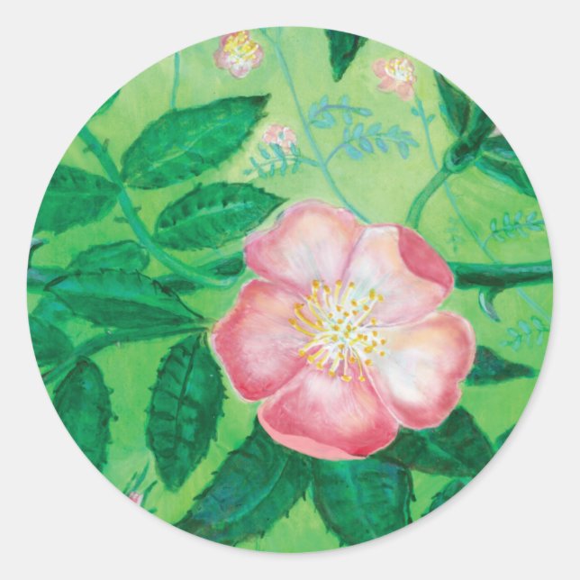 Adesivo Redondo Ilustração de Rosa selvagem rosa (Frente)