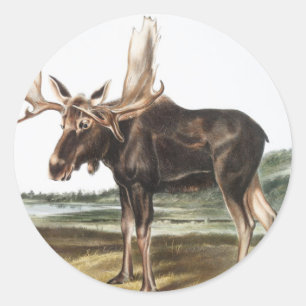 Adesivo Redondo Ilustração de veado de alces servo