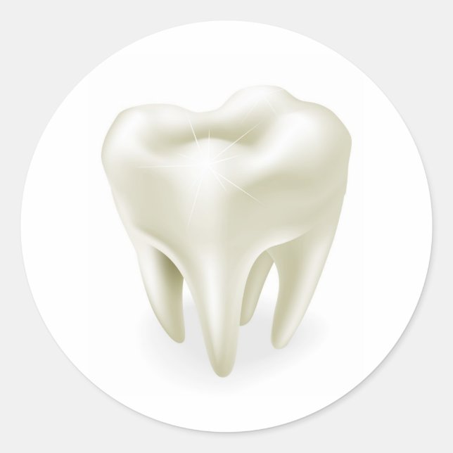Adesivo Redondo Ilustração do dente (Frente)