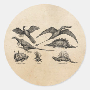 Adesivo Redondo Ilustração do Dinossauro Vintage Dinossauros Retro