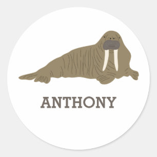 Adesivo Redondo Ilustração do Estilo Realista Gráfico Walrus
