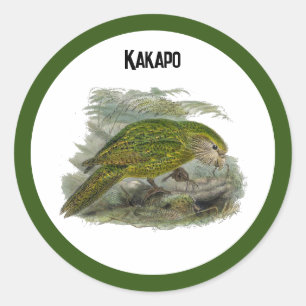 Adesivo Redondo Ilustração do Papagaio Verde Kakapo