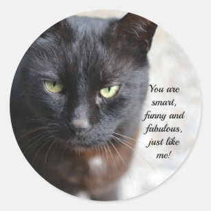 Adesivo Redondo Imagem do Lover Gato Preto com Citação Motivativ