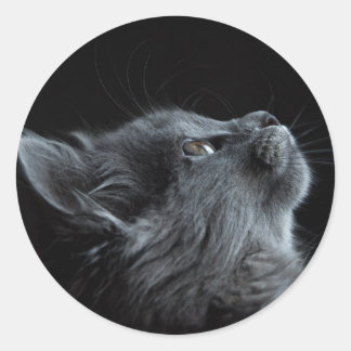 Adesivo Redondo imagem que combina com qualquer escolha de colagem