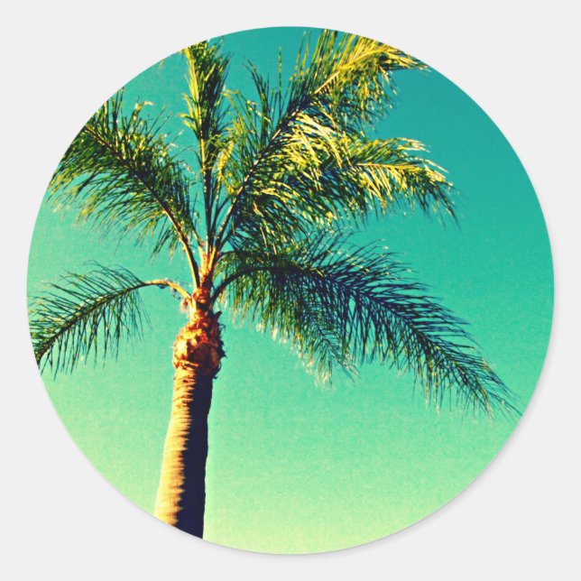 Adesivo Redondo Imagem Sunny Florida Palm Tree Sky (Frente)