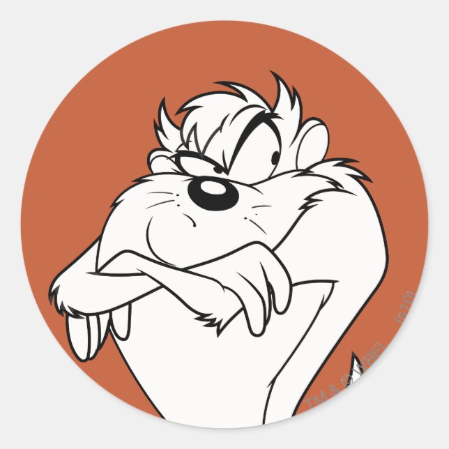 Adesivo Redondo Imagem TAZ™ (Frente)