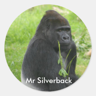 Adesivo Redondo IMG_8810, Silverback