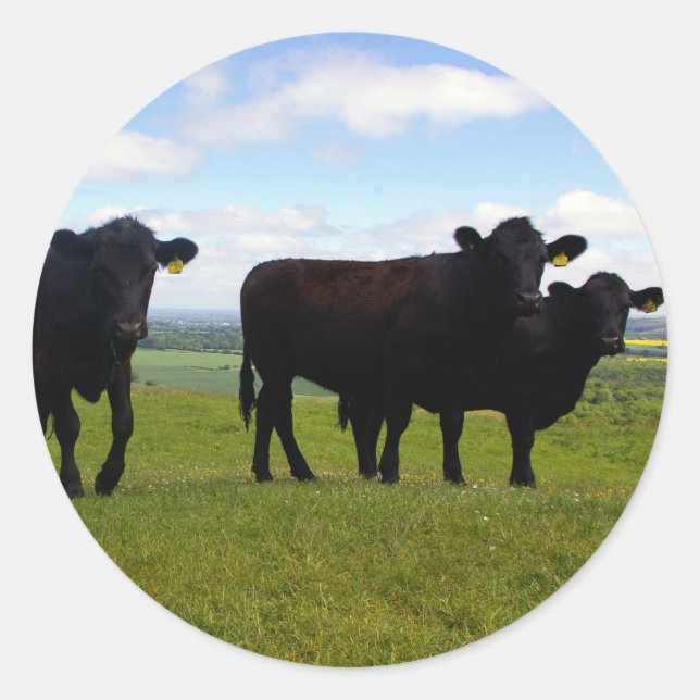 Adesivo Redondo Impaciência (Frente)