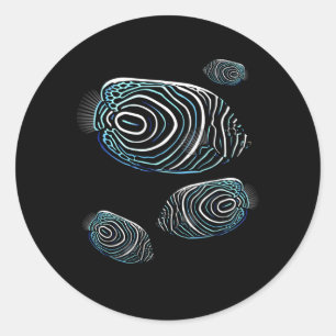 Adesivo Redondo Imperador Angelfish