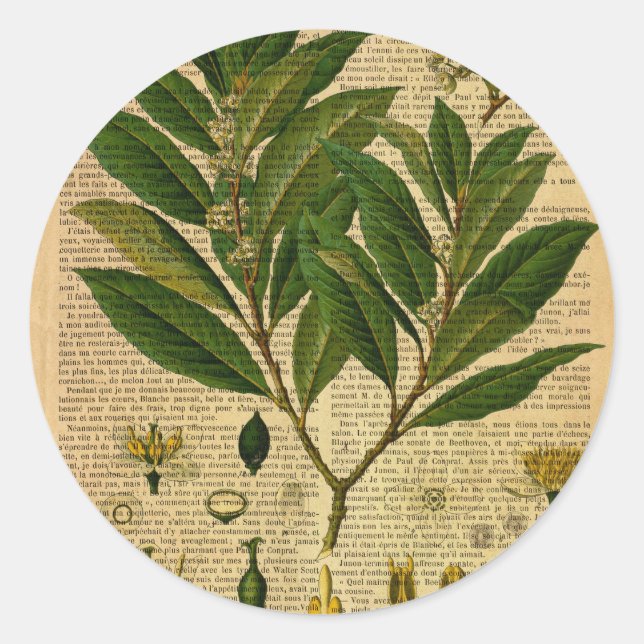 Adesivo Redondo Impressão botânico na página do livro antigo (Frente)