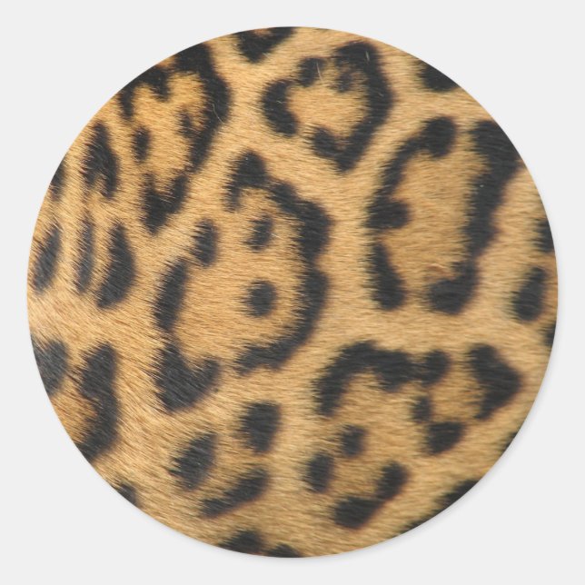 Adesivo Redondo Impressão de Leopardo (Frente)