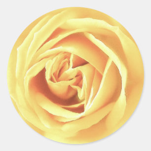 Adesivo Redondo Impressão do rosa amarelo