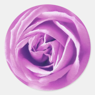 Adesivo Redondo Impressão do rosa da lavanda