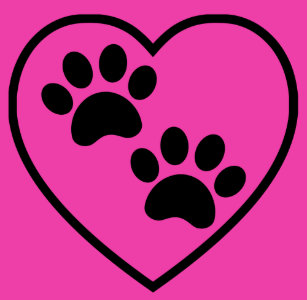 Adesivos Patas Cor Rosa Filhote Cachorro Zazzle Com Br Além dos ossos, os pés do animal incluem pele, tendões. adesivos patas cor rosa filhote