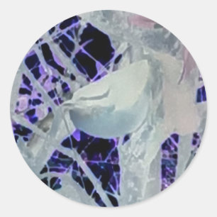 Adesivo Redondo Incognito Bird Sticker