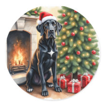 Incrível Grande Dane no Natal