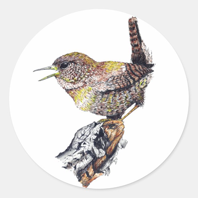 Adesivo Redondo Incrível Wren Sticker (Frente)