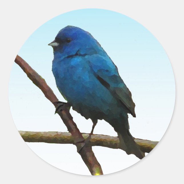 Adesivo Redondo Indigo Bunting (Frente)