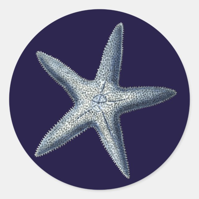 Adesivo Redondo Indigo Shells IV (Frente)