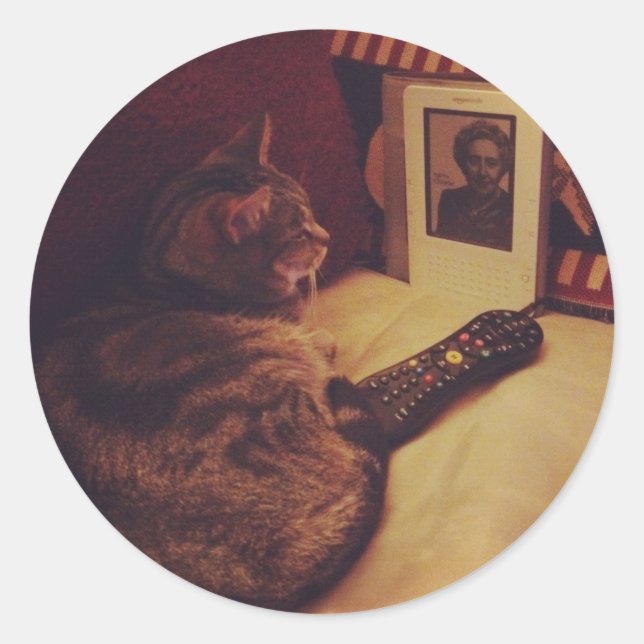 Adesivo Redondo Indigo's Kindle (Frente)