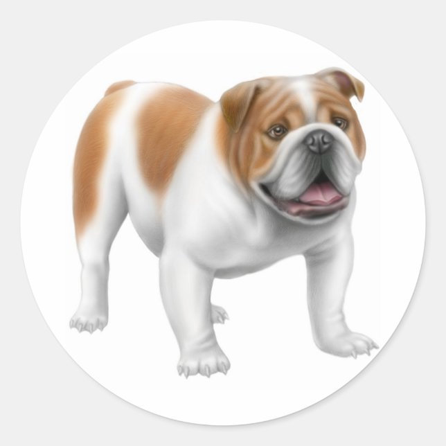 Adesivo Redondo Inglês Bulddog Sticker (Frente)