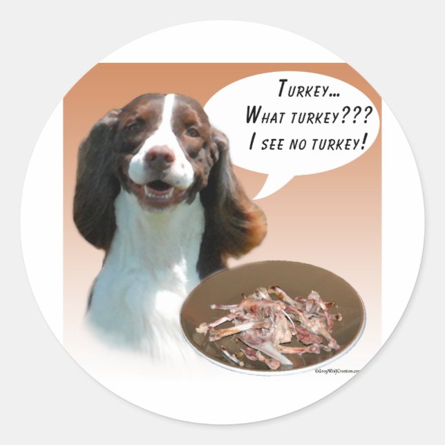 Adesivo Redondo Inglês Springer Spaniel Turquia (Frente)