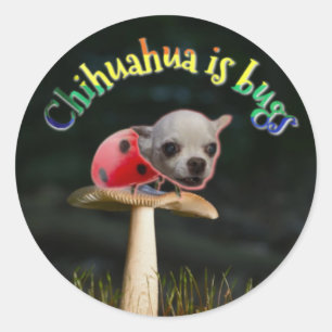 Adesivo Redondo Inseto Copernicus