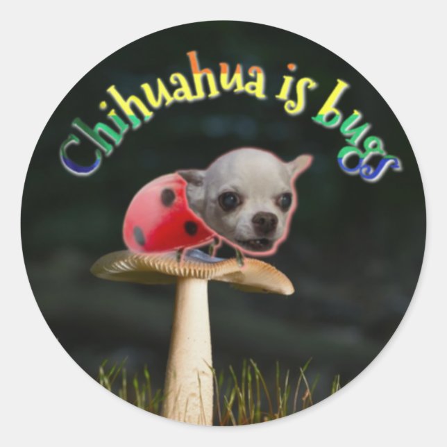 Adesivo Redondo Inseto Copernicus (Frente)